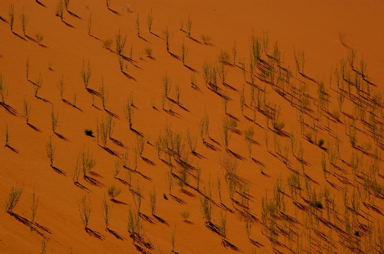 401 Namibia Okt 2006 .JPG